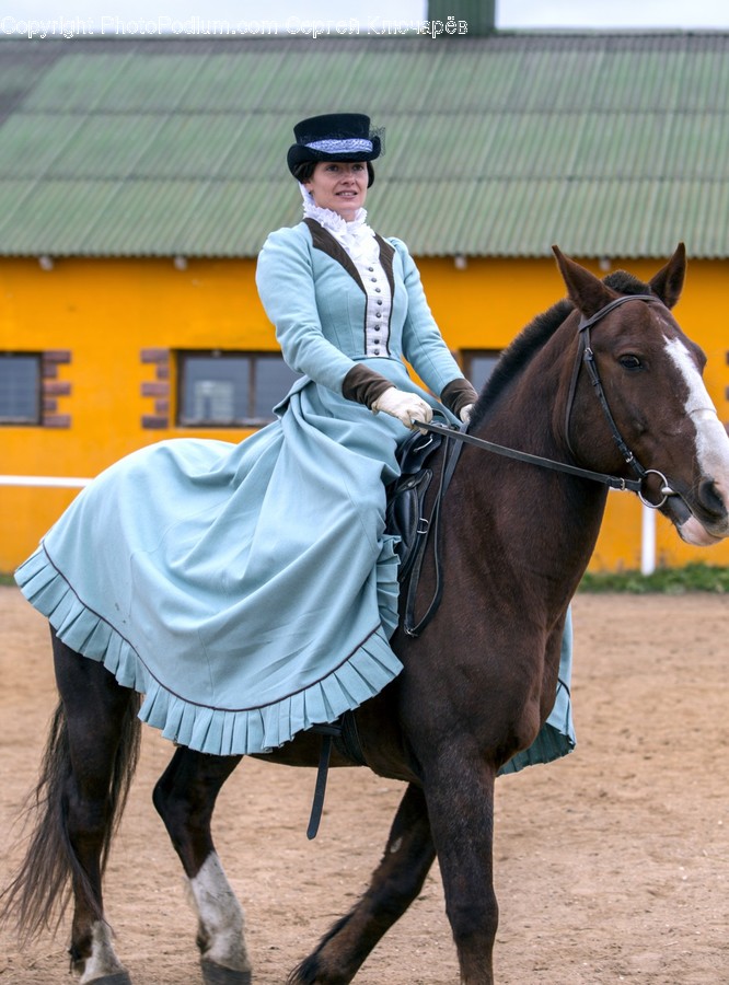 Human, People, Person, Animal, Equestrian