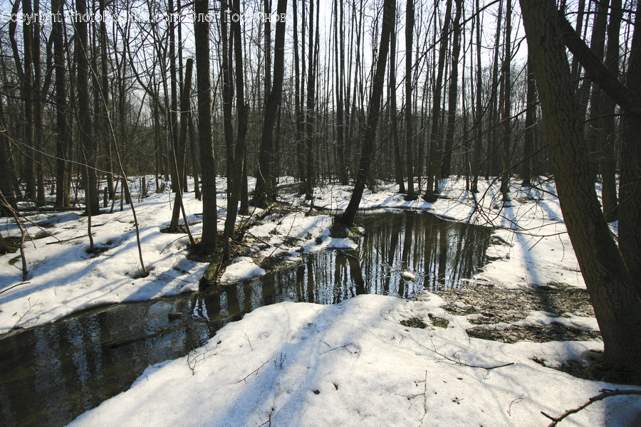 Ice, Icicle, Outdoors, Snow, Winter