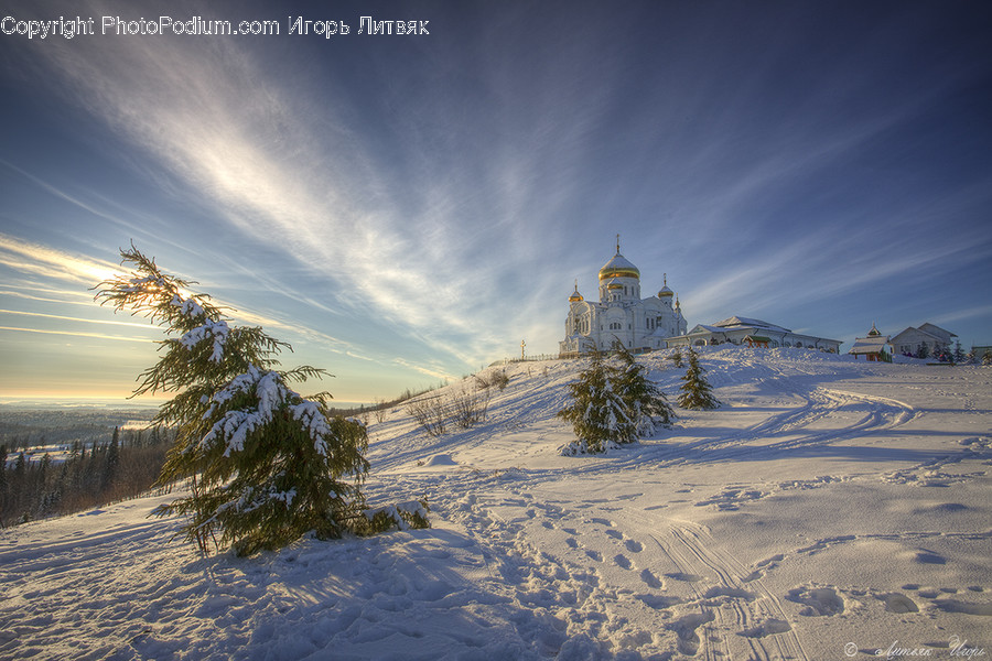 Architecture, Building, Church, Worship, Conifer