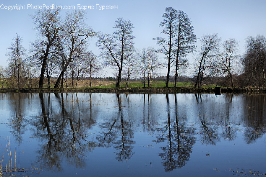 Flood, Nature, Land, Marsh, Outdoors