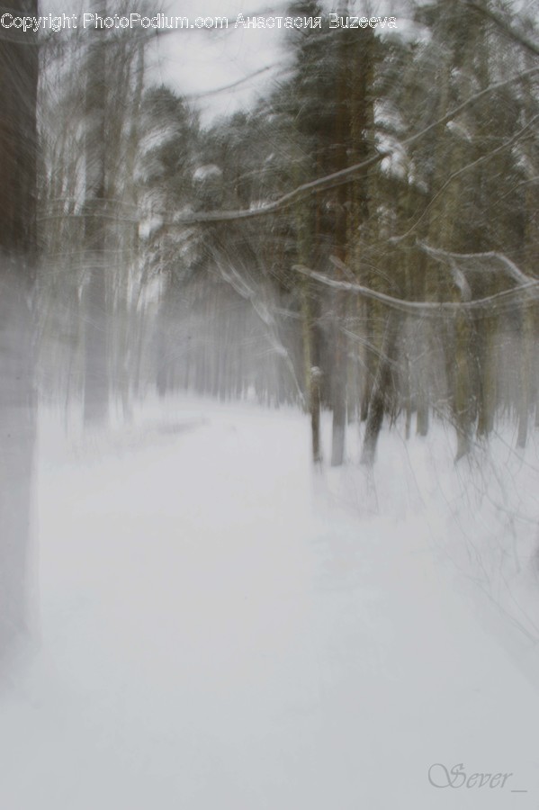Blizzard, Nature, Outdoors, Snow, Storm
