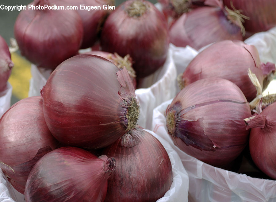 Garlic, Plant, People, Person, Human, Onion, Produce
