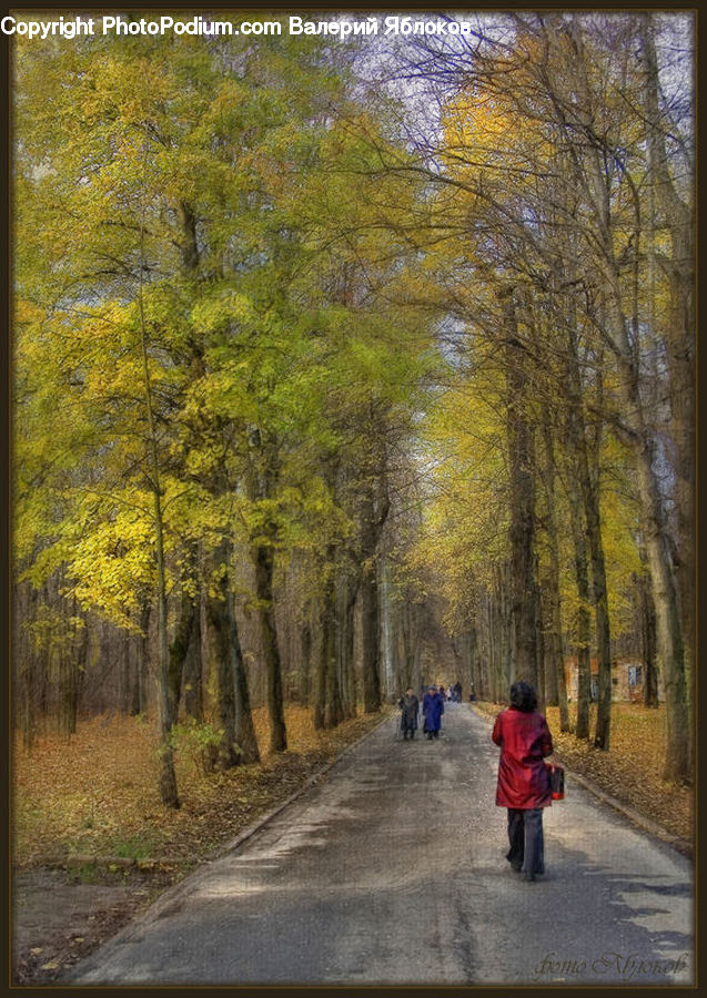 Dirt Road, Gravel, Road, Leisure Activities, Walking, Exercise, Fitness