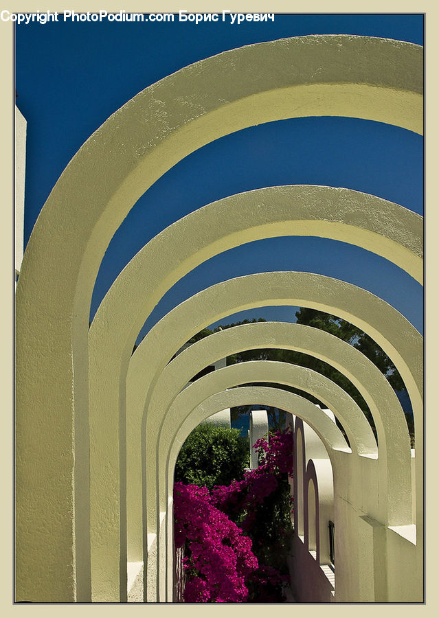 Patio, Corridor, Building, Arched, Housing, Backyard, Yard