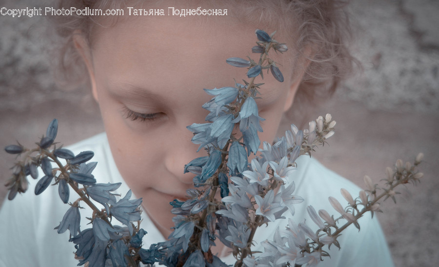Blossom, Flora, Flower, Plant, Human