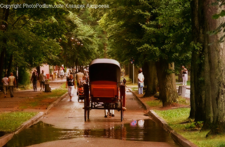 Canal, Outdoors, Water, Carriage, Transportation