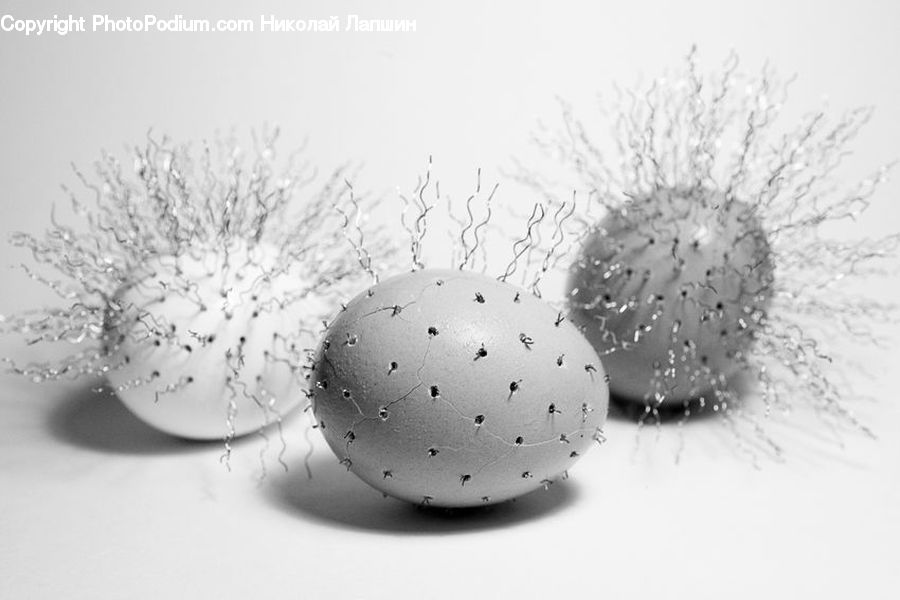 Sphere, Accessories, Produce, Vegetable, Plant, Anemone, Blossom