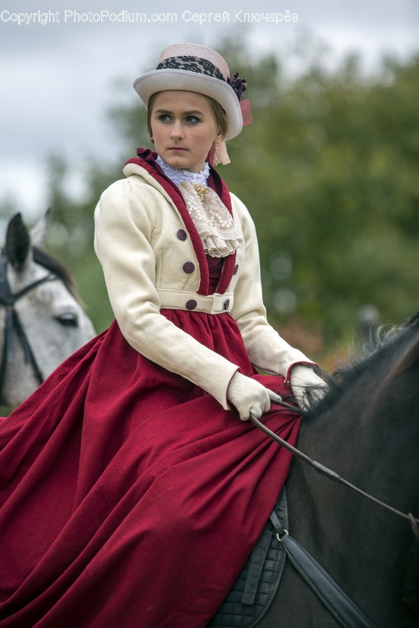 Human, People, Person, Animal, Horse