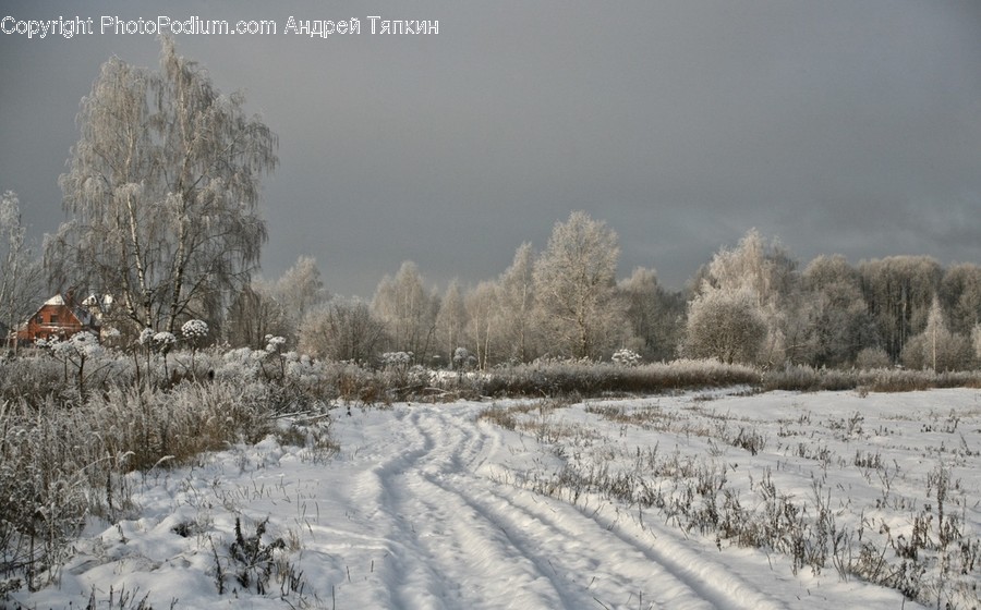 Frost, Ice, Outdoors, Snow, Landscape