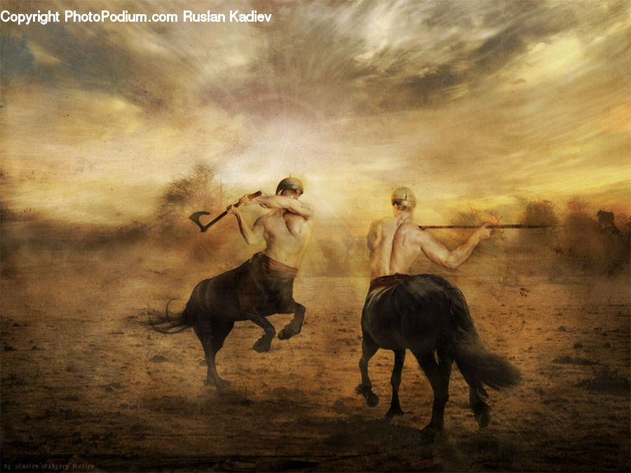 Angus, Animal, Bull, Mammal, Bullfighter, Bullfighting, Horse