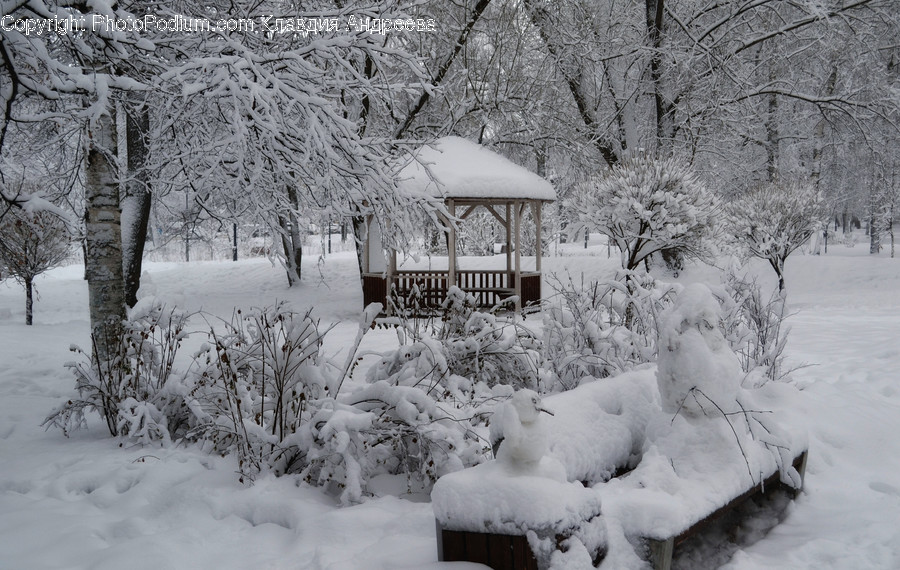 Outdoors, Snow, Bench, Flora, Plant