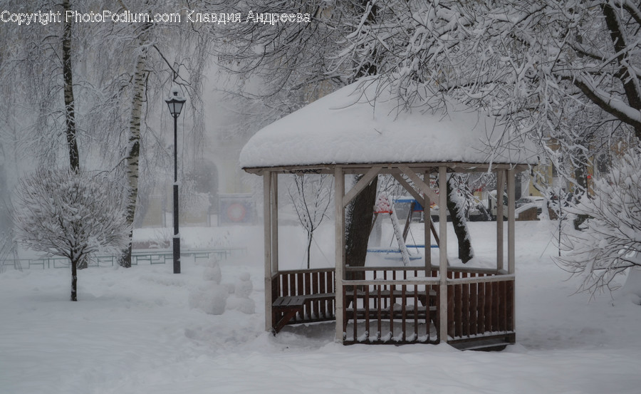 Outdoors, Snow, Bench, Flora, Plant