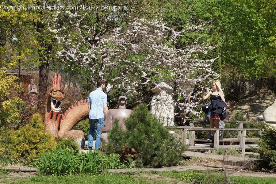 Human, People, Person, Blossom, Flora