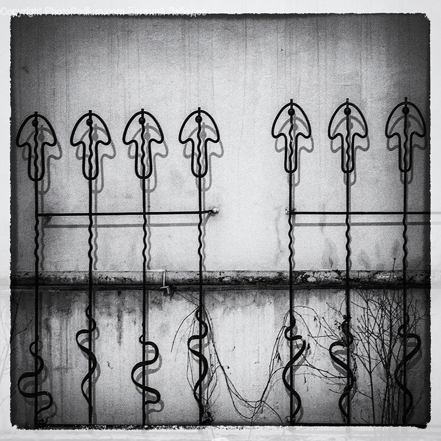Wall