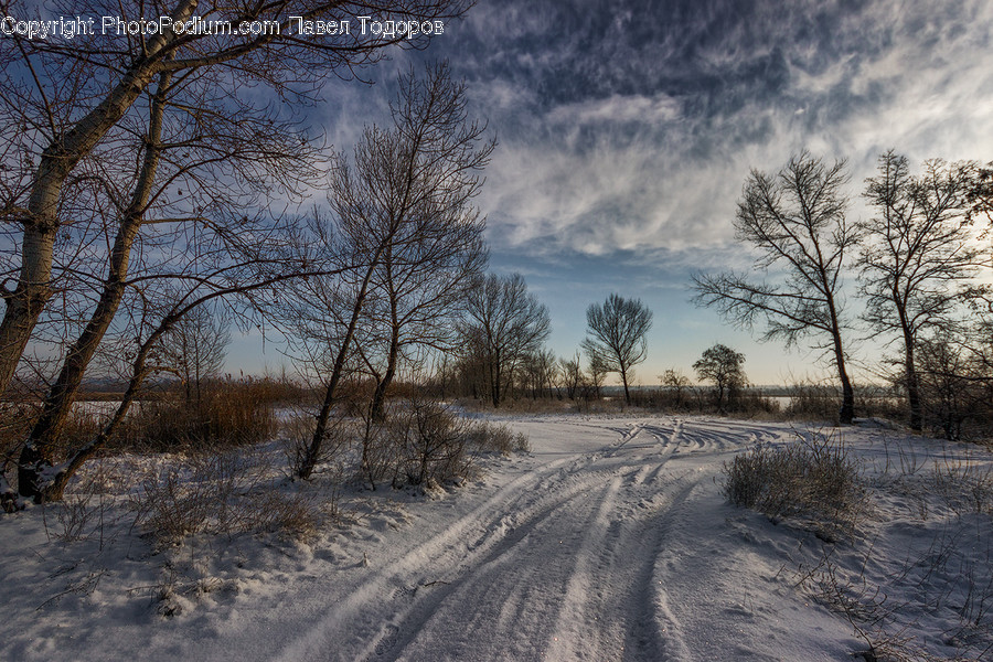 Dirt Road, Gravel, Road, Landscape, Nature