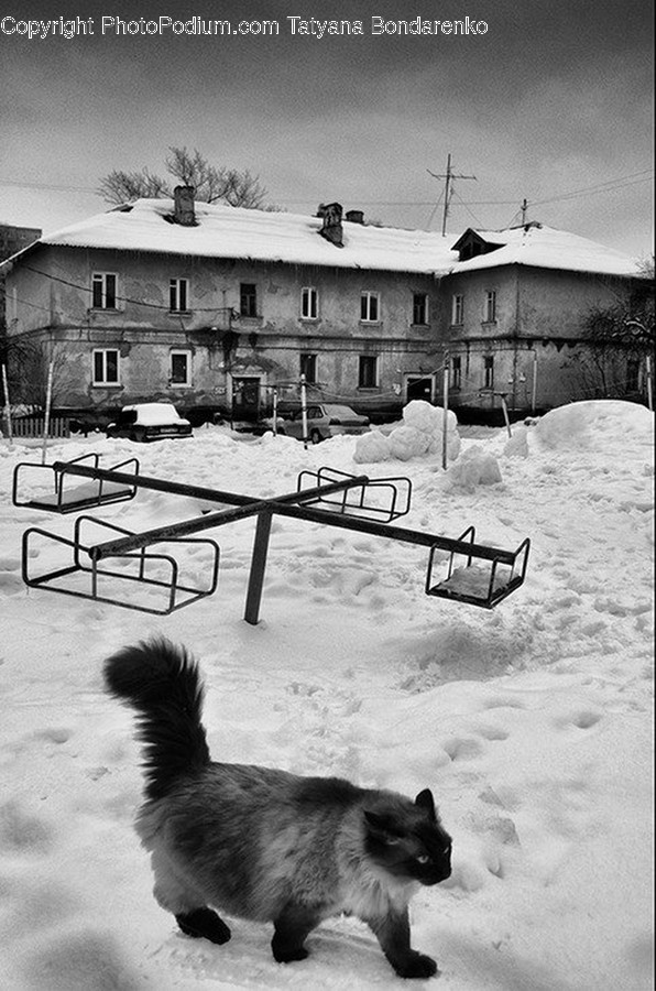 Bench, Outdoors, Snow, Building, Cottage