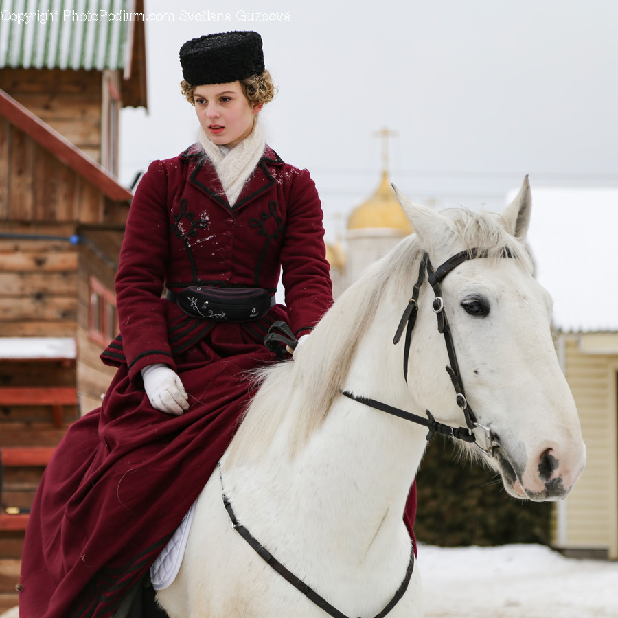 Human, People, Person, Animal, Equestrian