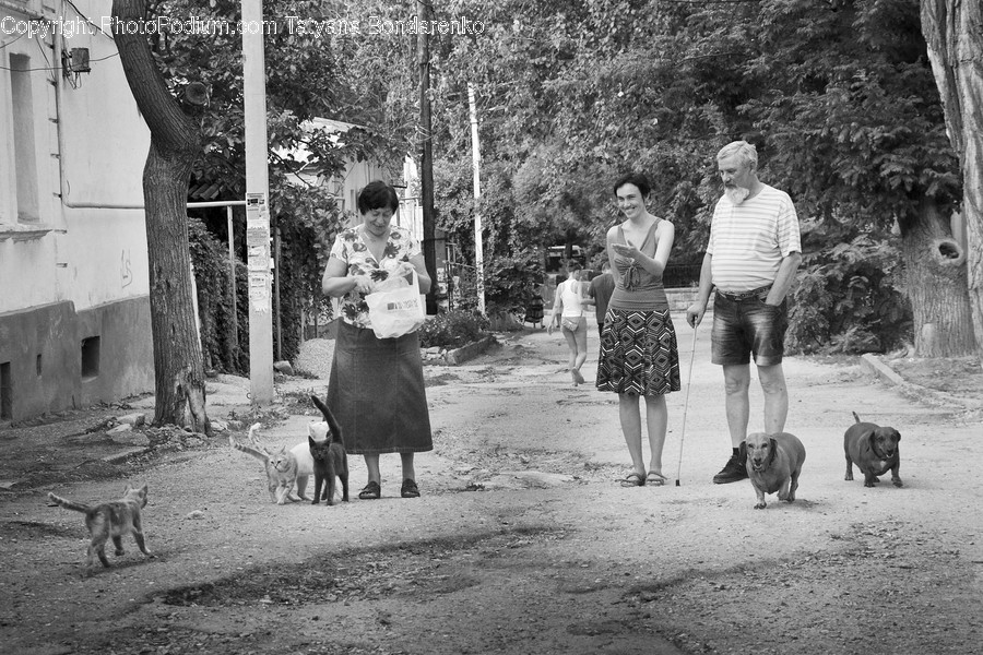 Human, People, Person, Female, Alley