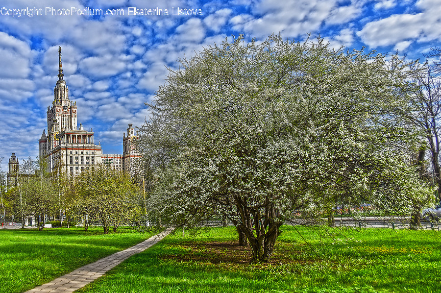 Parliament, Building, Architecture, Castle, Flora