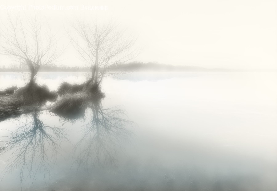 Fog, Nature, Weather, Mist, Outdoors