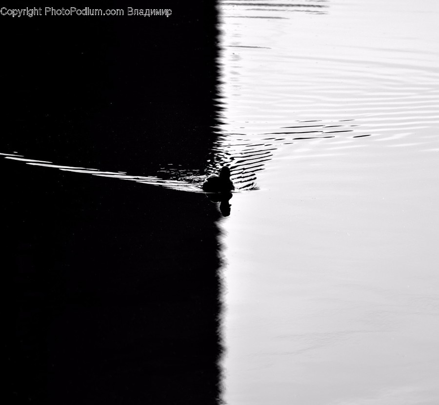 Outdoors, Ripple, Water
