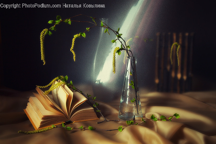 Art, Blossom, Flora, Flower, Flower Arrangement