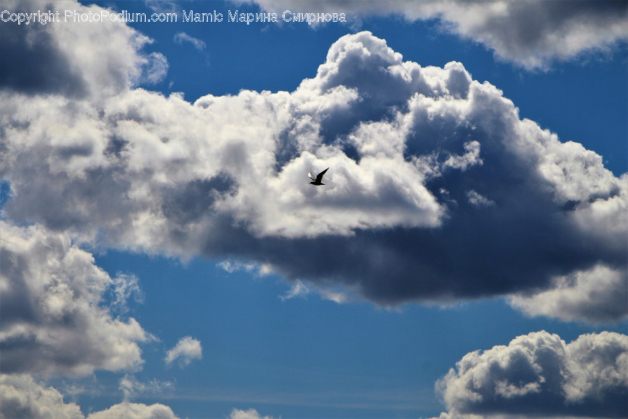 Cloud, Nature, Outdoors, Sky, Weather