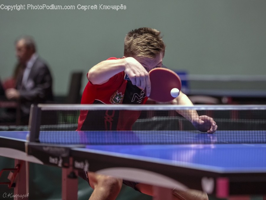 Human, People, Person, Ping Pong, Sport