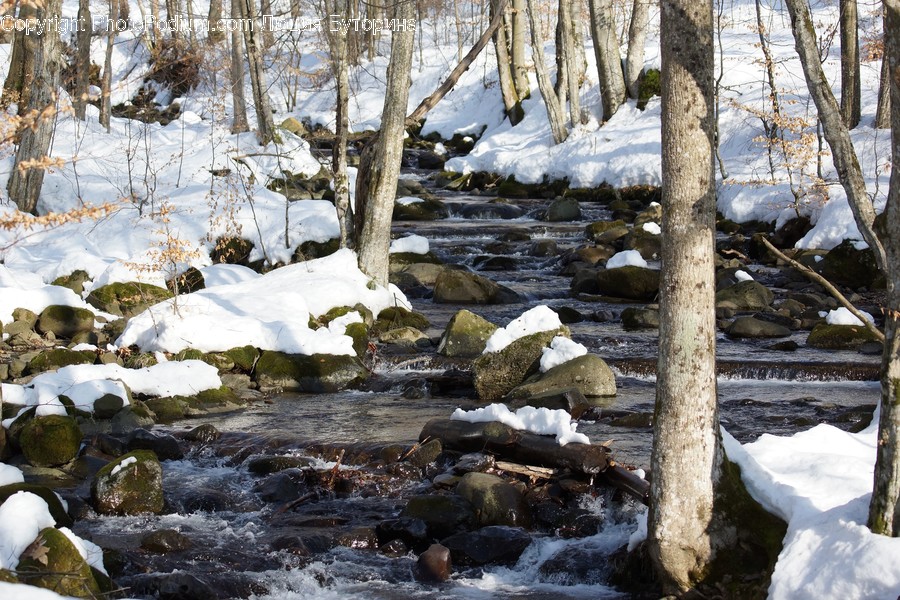 Creek, Outdoors, Stream, Water, Rock
