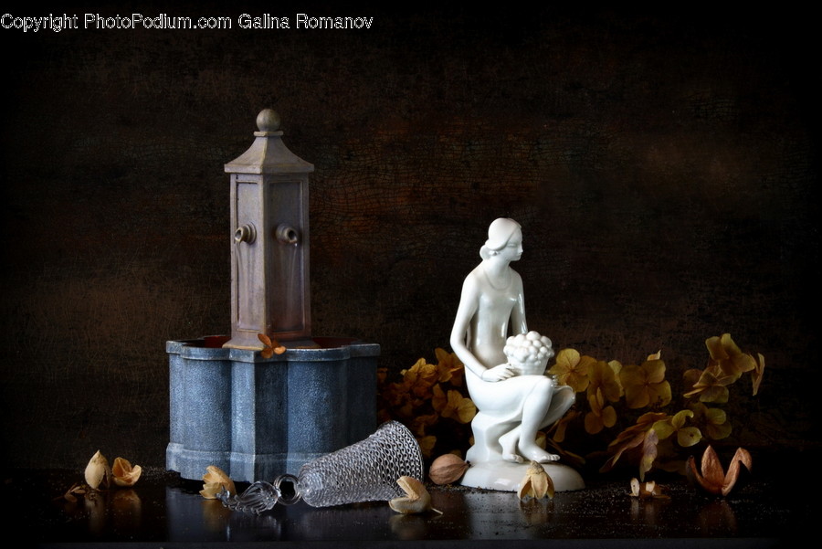 Flora, Jar, Plant, Potted Plant, Pottery
