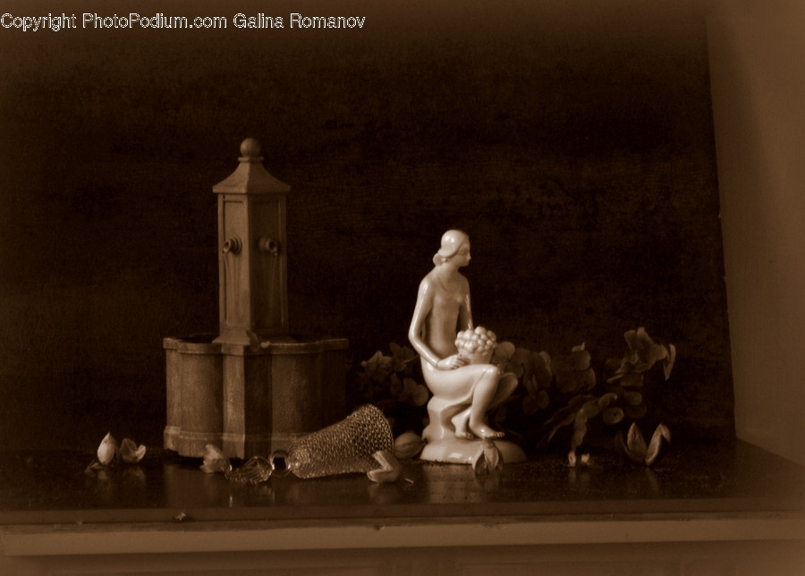 Human, People, Person, Flora, Jar
