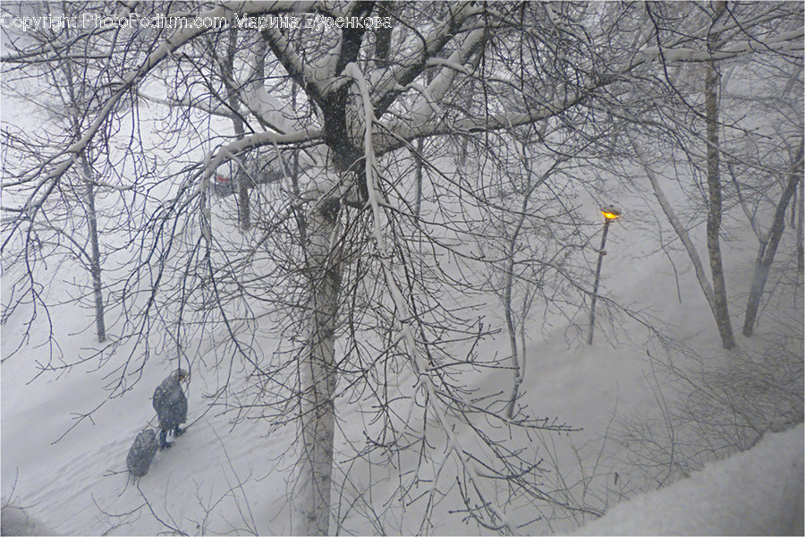 Blizzard, Nature, Outdoors, Snow, Storm