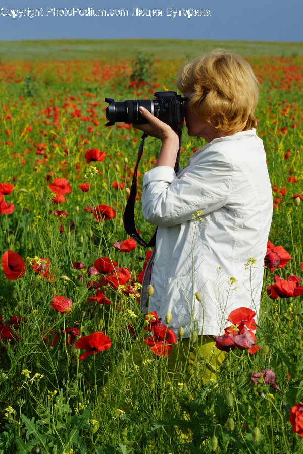 Human, People, Person, Blossom, Flora