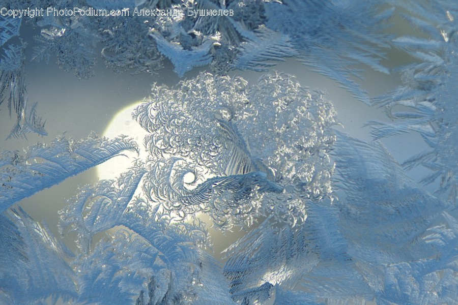 Frost, Ice, Outdoors, Snow
