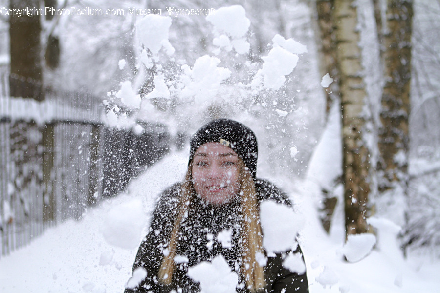 Blizzard, Nature, Outdoors, Snow, Storm