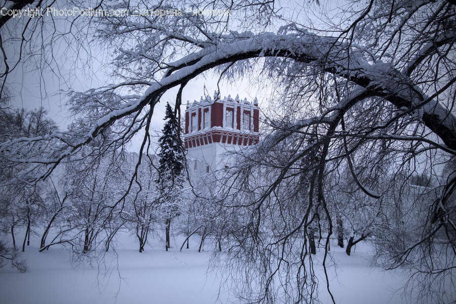 Blizzard, Nature, Outdoors, Snow, Storm
