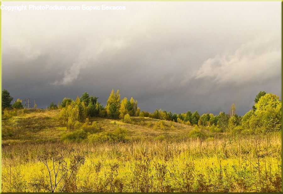 Cloud, Cumulus, Sky, Field, Grass, Grassland, Land