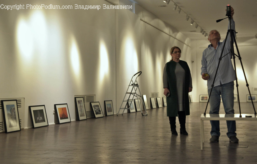 Human, People, Person, Art, Art Gallery