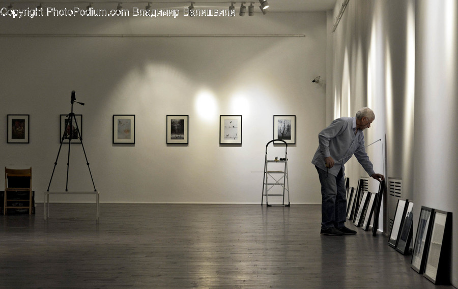Human, People, Person, Art, Art Gallery