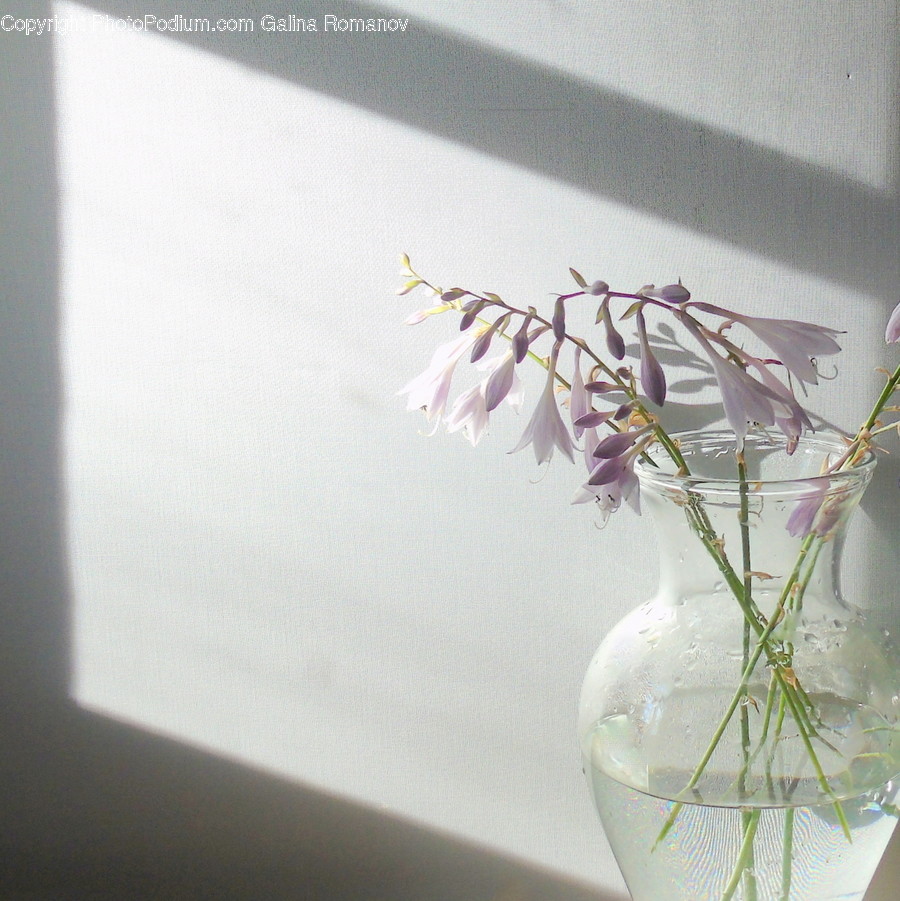 Art, Blossom, Flora, Flower, Flower Arrangement