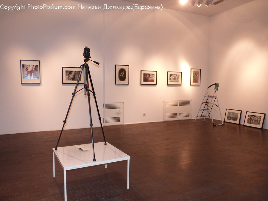 Art, Art Gallery, Tripod, Floor, Hardwood