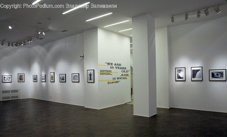 Art, Art Gallery, Flooring, Floor, Indoors