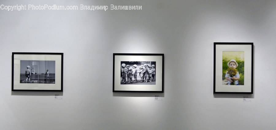 Art, Art Gallery, Wall, Painting, Collage