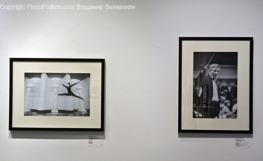 Art, Art Gallery, Wall, Poster, Human