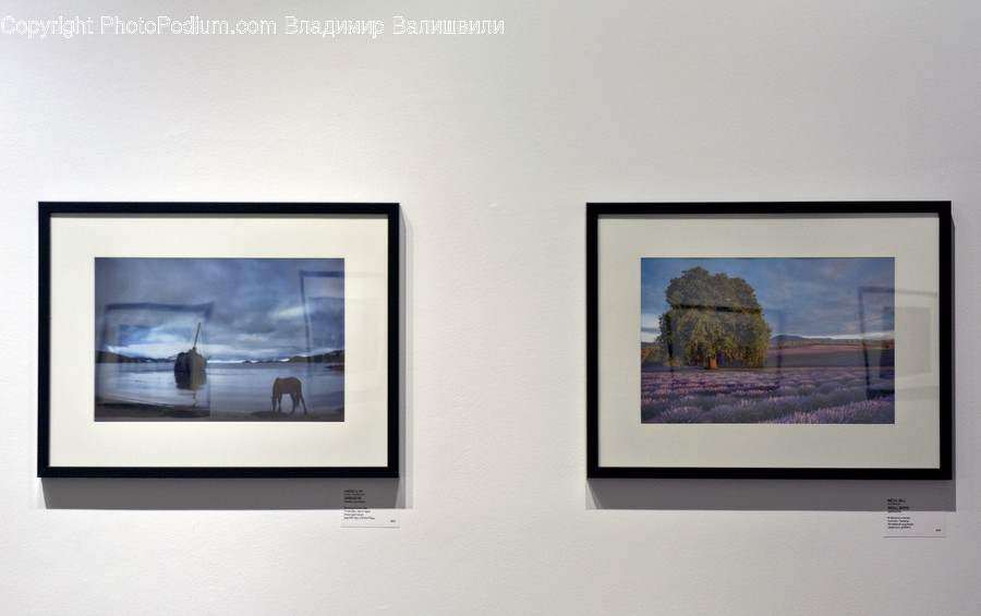 Collage, Poster, Screen, Art, Art Gallery