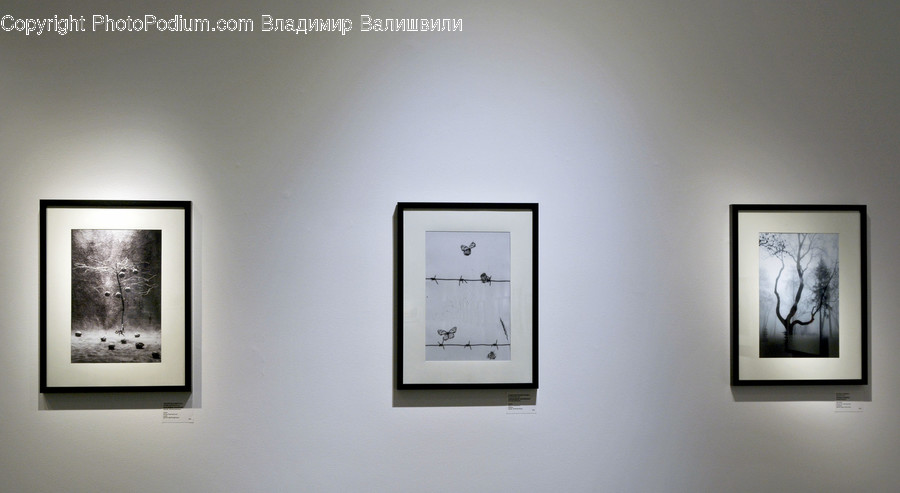 Art, Wall, Art Gallery, Dining Room, Indoors