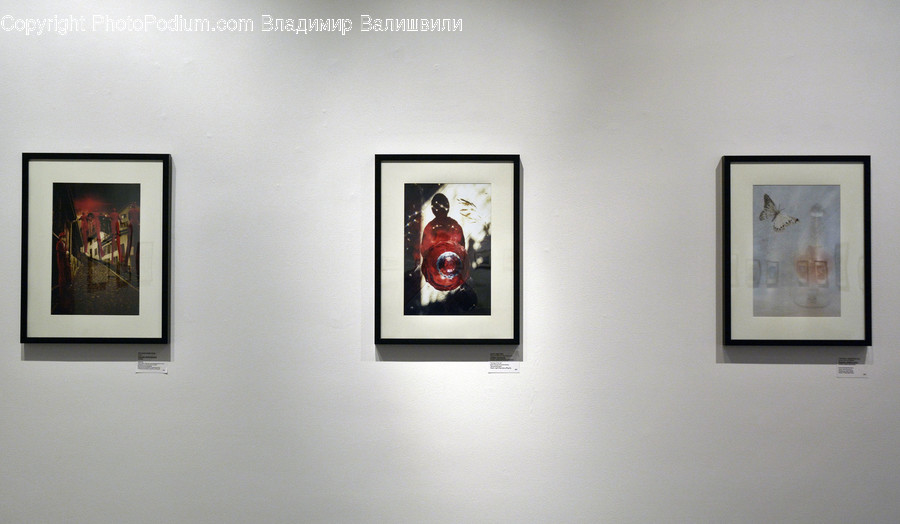 Human, People, Person, Art, Art Gallery