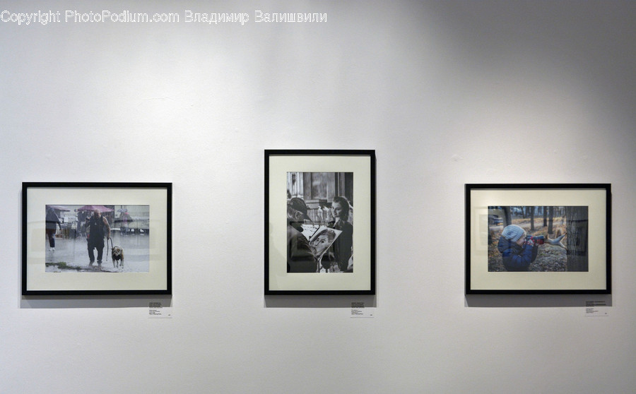 Art, Art Gallery, Autograph, Handwriting, Signature