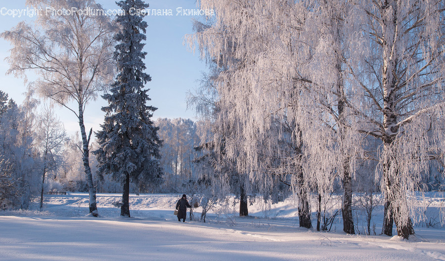Landscape, Nature, Outdoors, Scenery, Frost