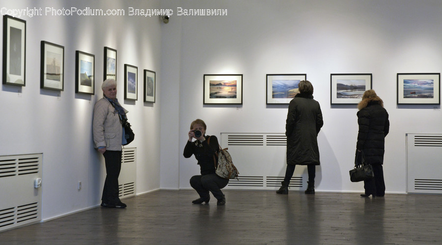 Human, People, Person, Art, Art Gallery